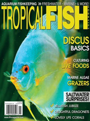 Tropical Fish Hobbyist magazine subscription
