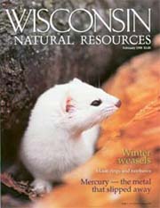 WISCONSIN NATURAL RESOURCES magazine subscription
