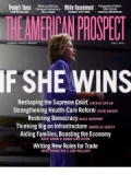 THE AMERICAN PROSPECT magazine subscription